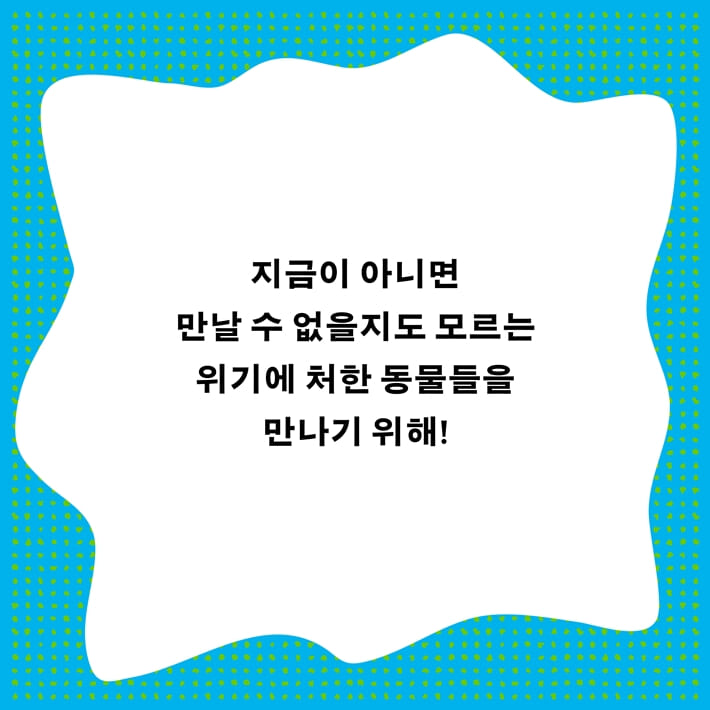 카드뉴스7