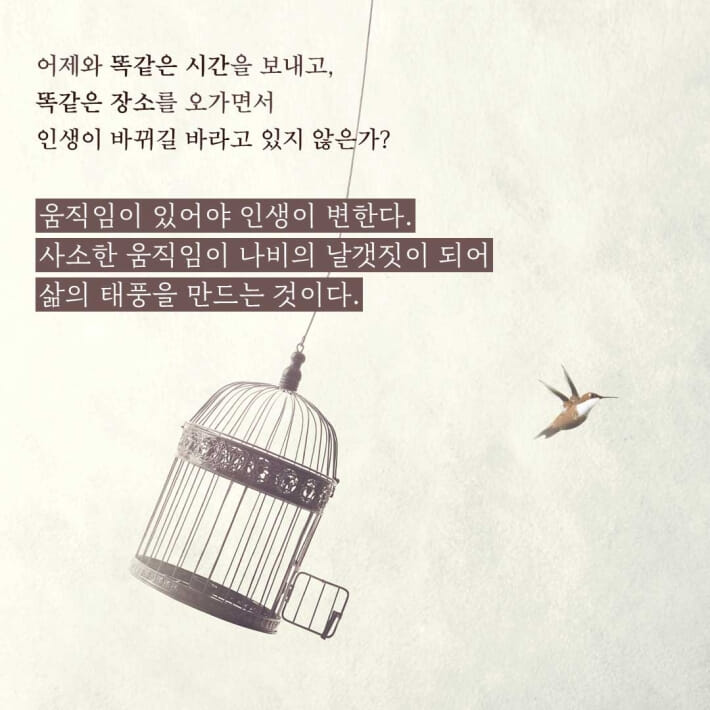 카드뉴스5