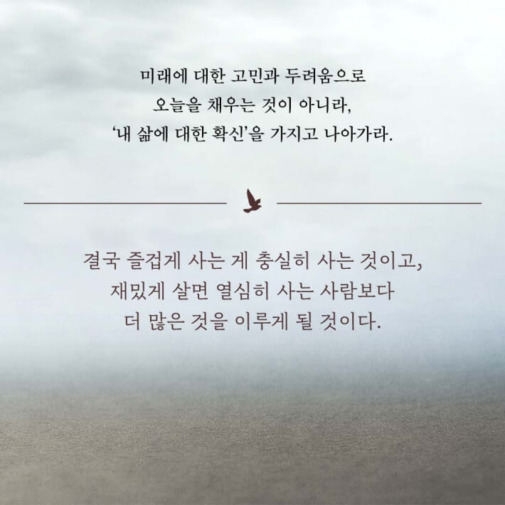카드뉴스6