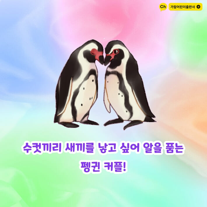 카드뉴스3
