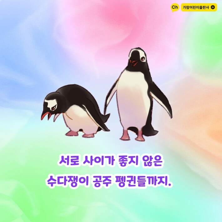 카드뉴스5
