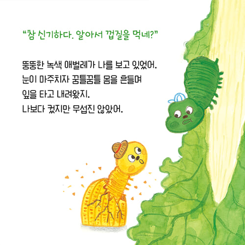 카드뉴스2
