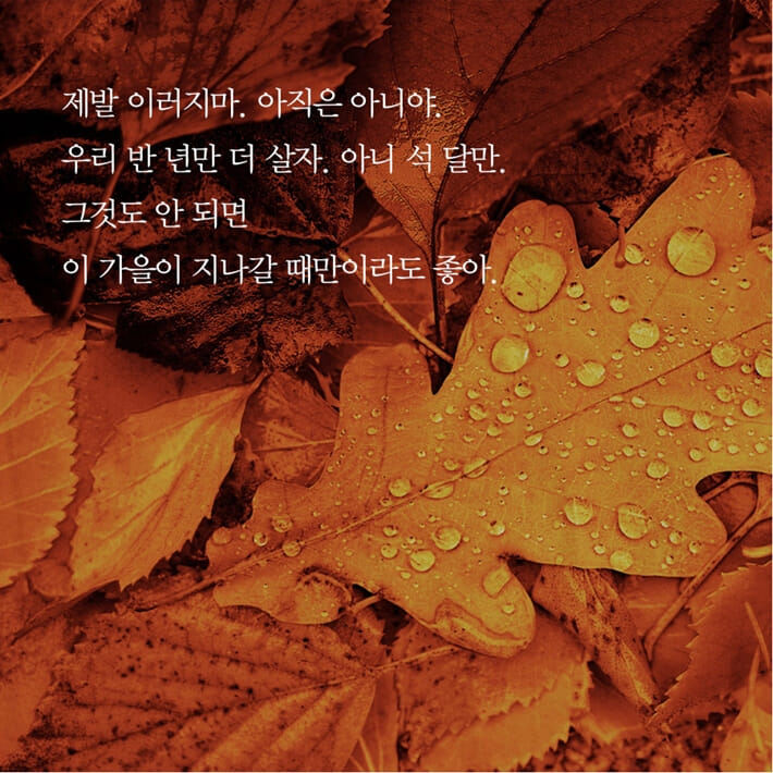 카드뉴스6