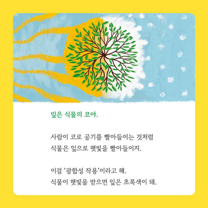 카드뉴스1