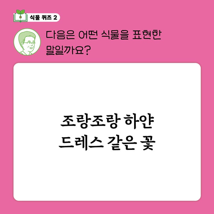 카드뉴스2
