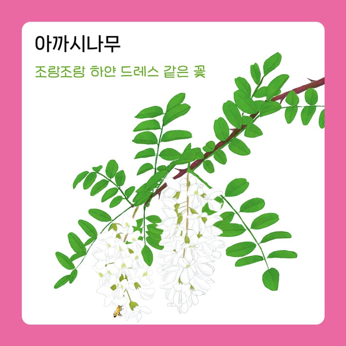 카드뉴스3