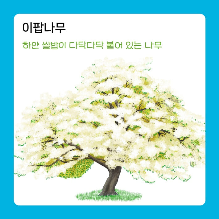 카드뉴스5