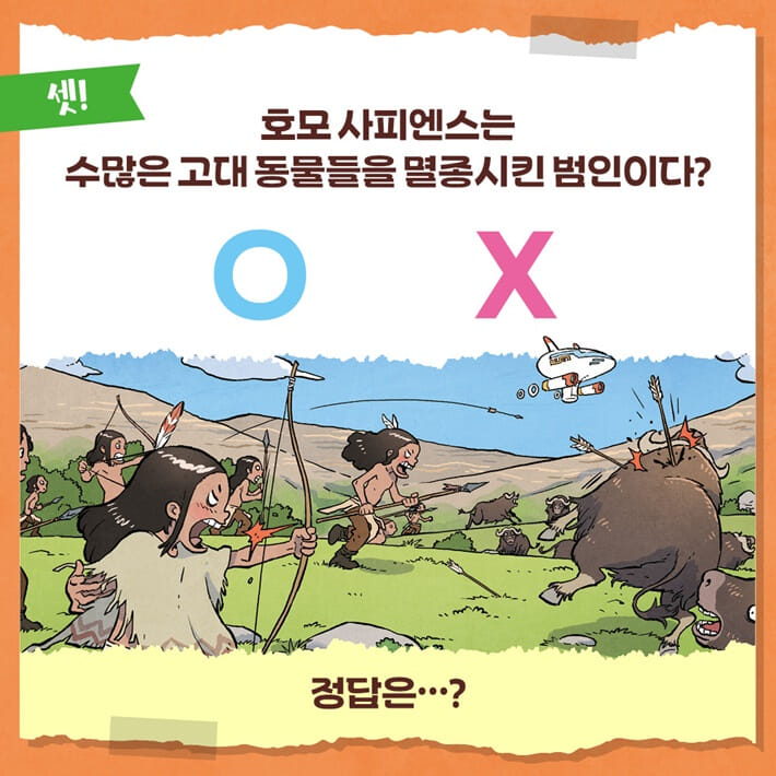 카드뉴스5