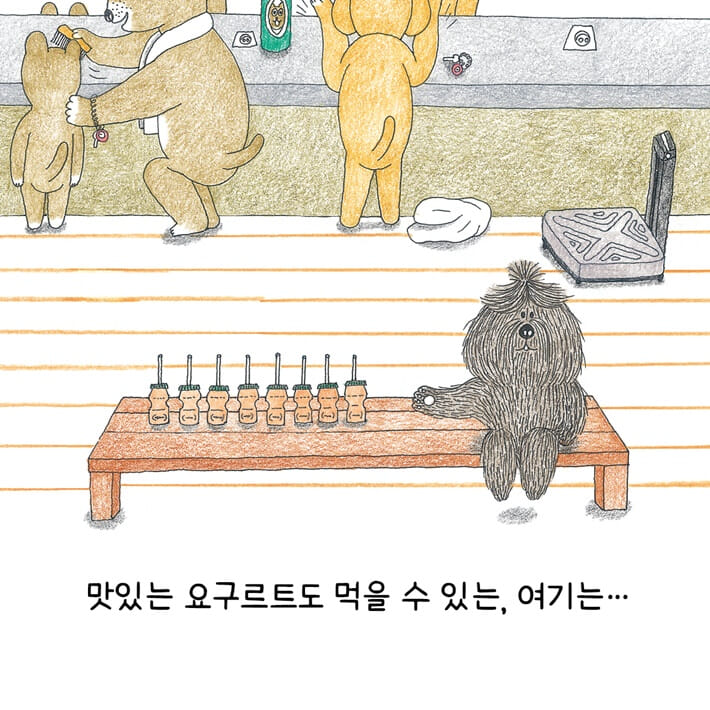 카드뉴스6