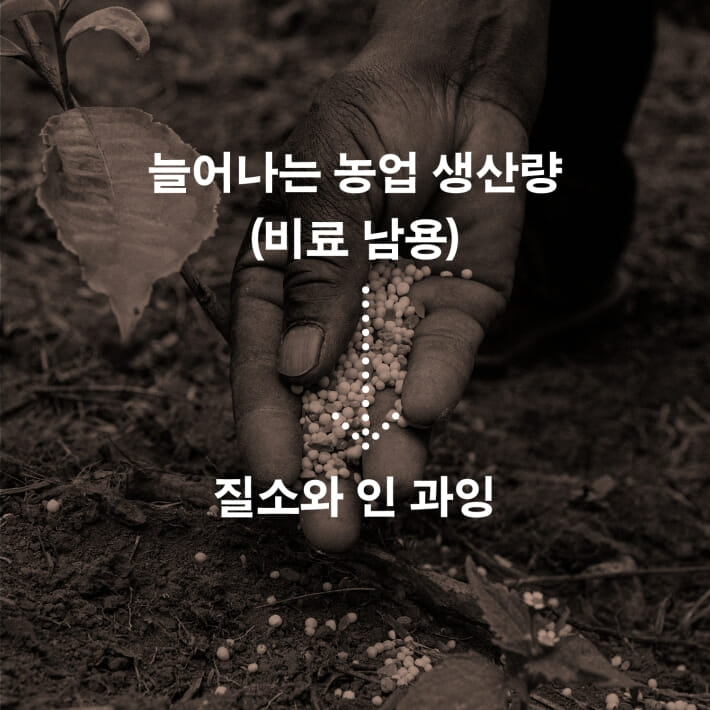 카드뉴스2