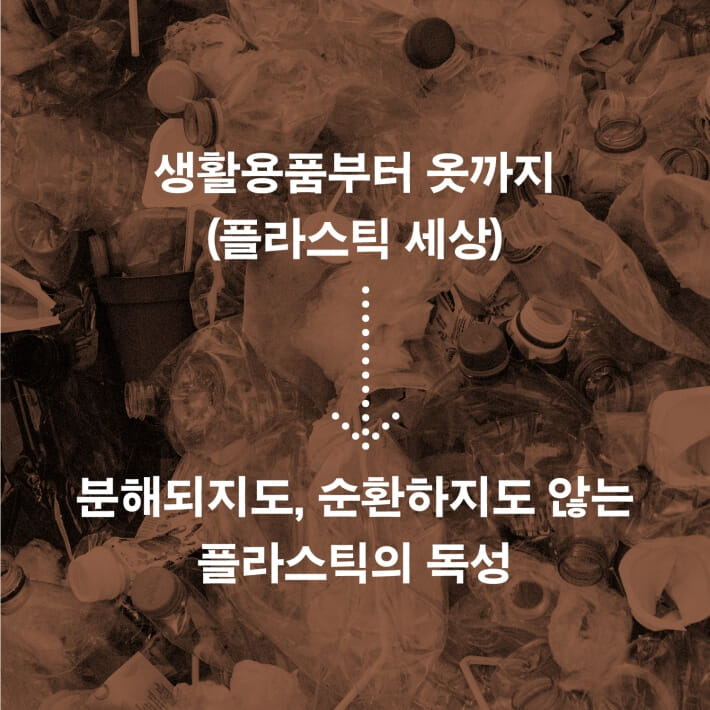 카드뉴스4