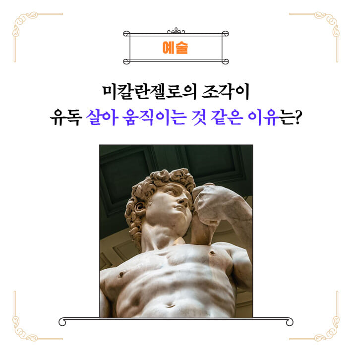 카드뉴스5