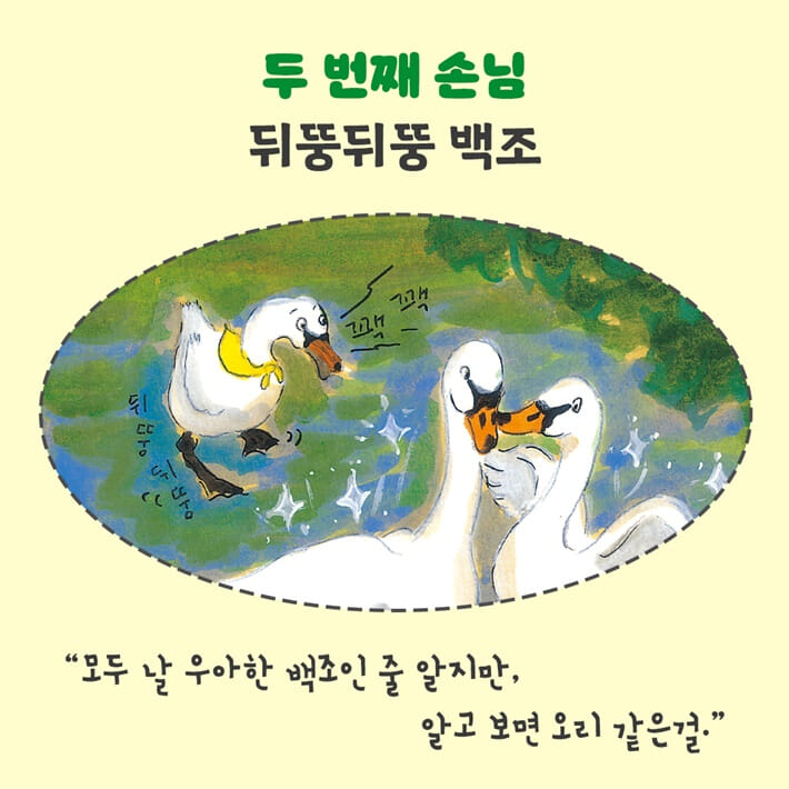 카드뉴스4