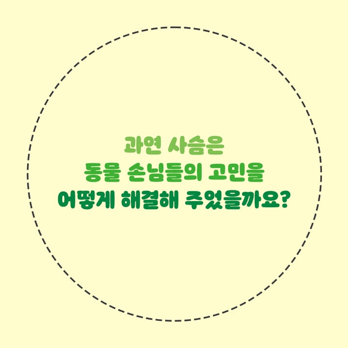 카드뉴스7