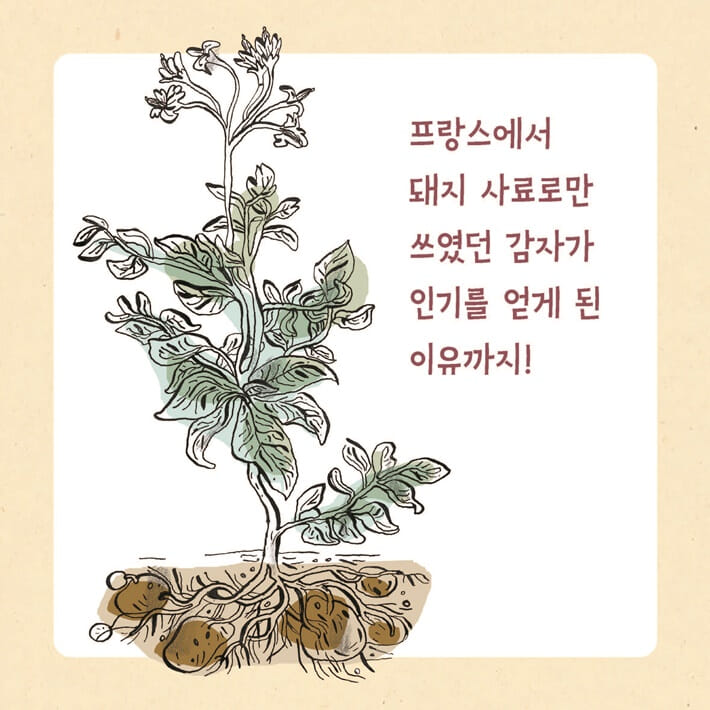 카드뉴스4