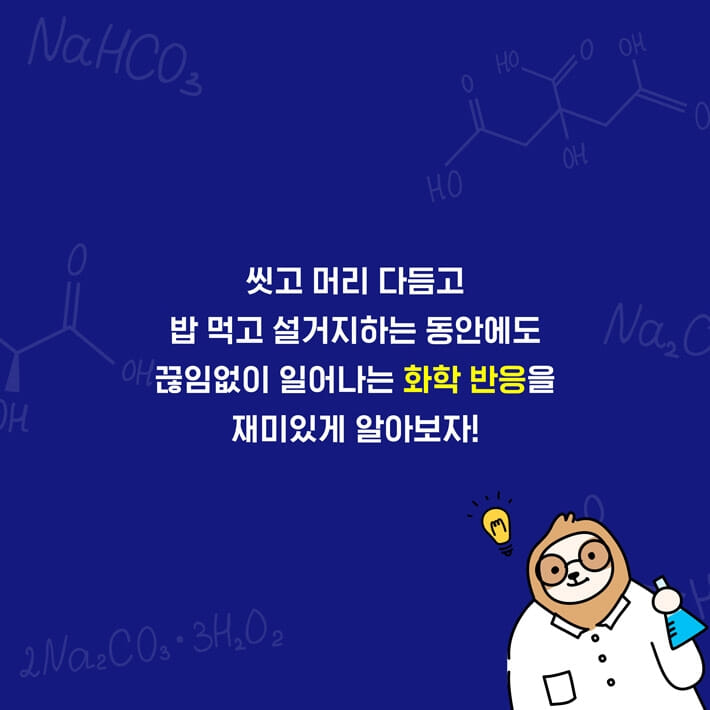 카드뉴스2