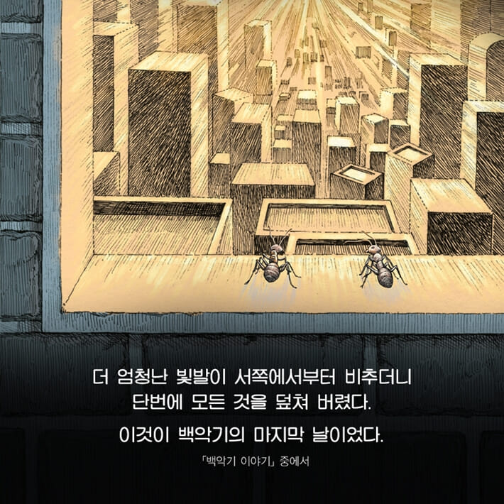 카드뉴스5