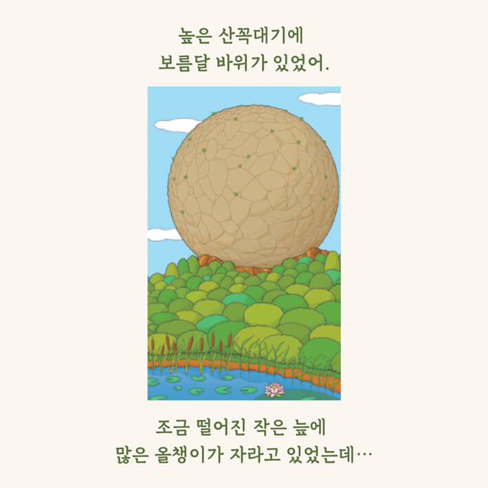 카드뉴스0