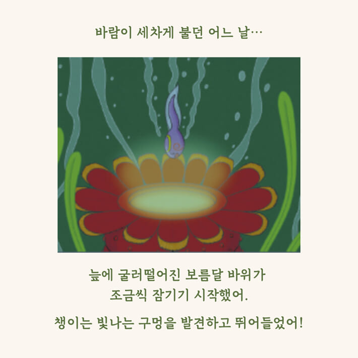 카드뉴스2