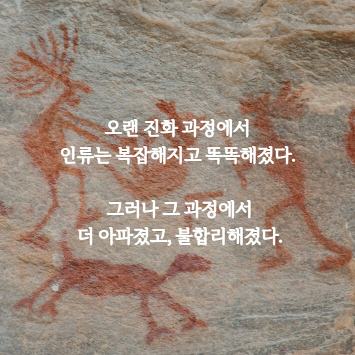 카드뉴스0