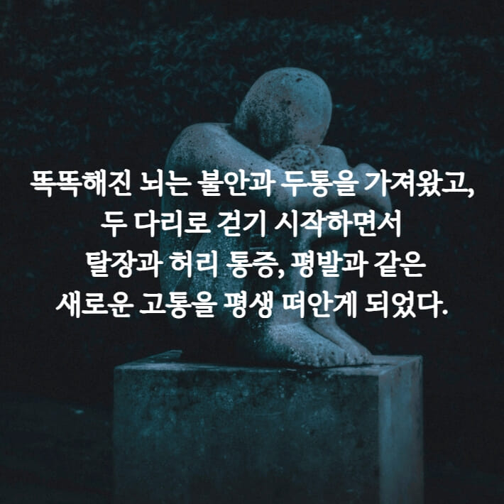 카드뉴스1