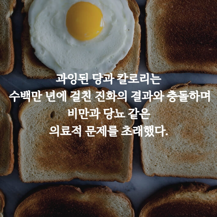 카드뉴스2