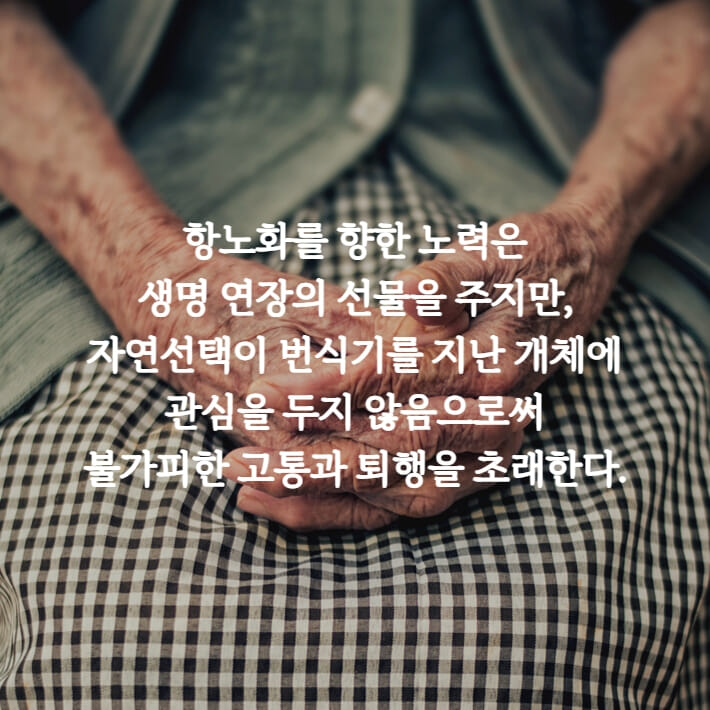 카드뉴스4