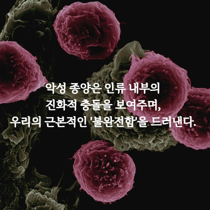 카드뉴스5