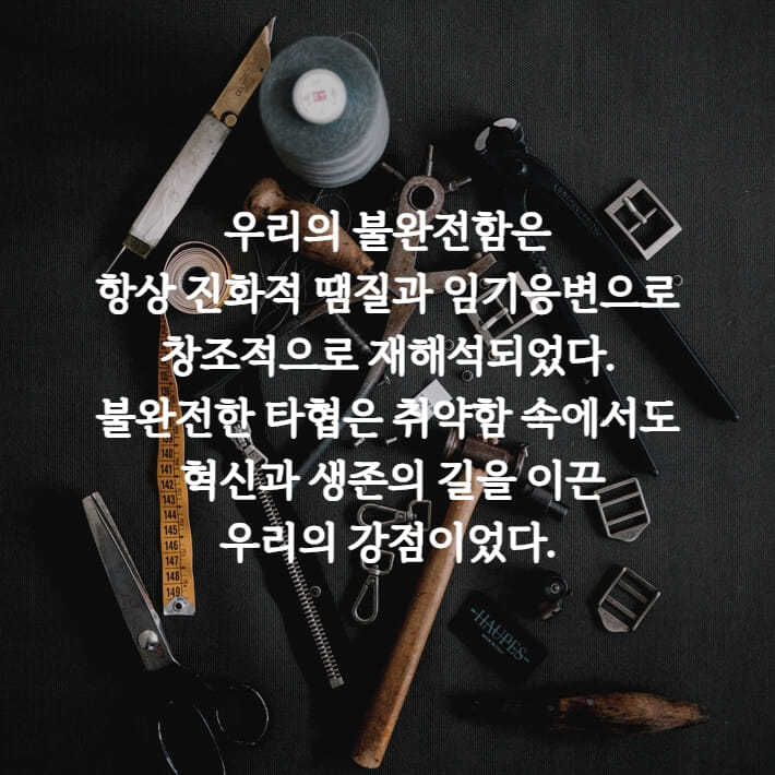 카드뉴스7