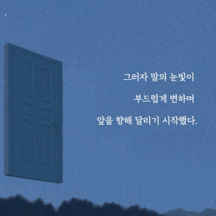 카드뉴스4