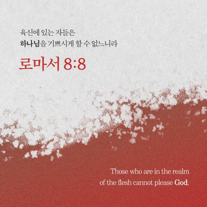 카드뉴스3