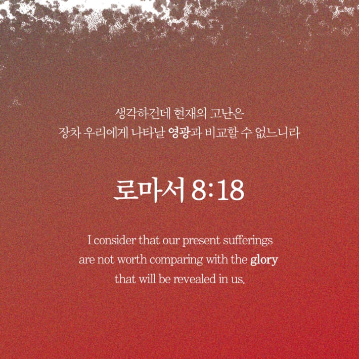 카드뉴스5