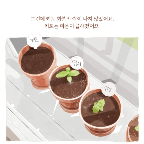 카드뉴스4