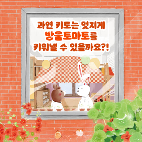 카드뉴스6