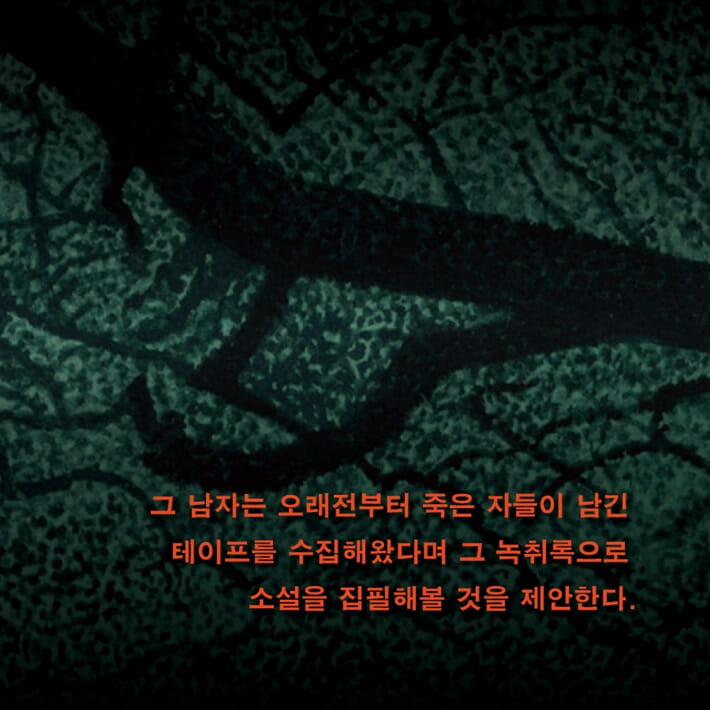 카드뉴스4