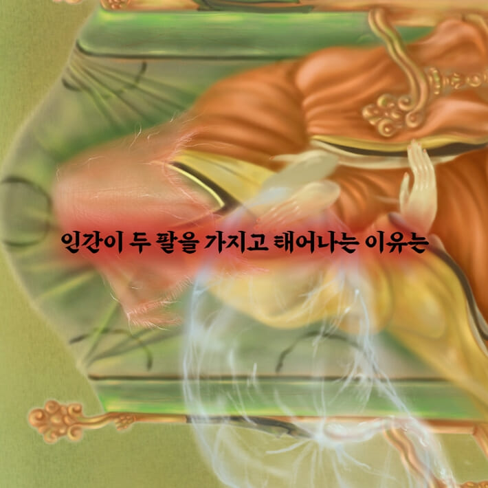 카드뉴스5