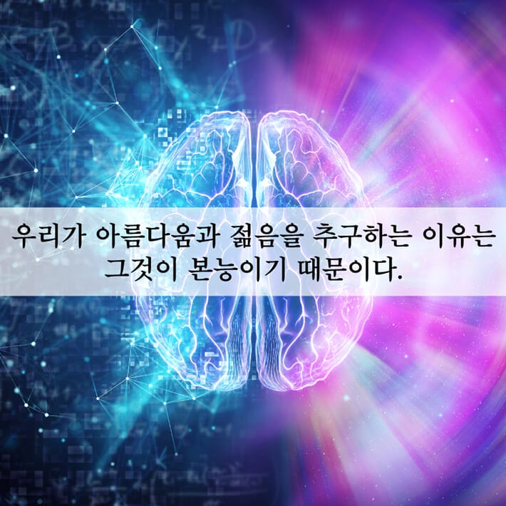 카드뉴스3