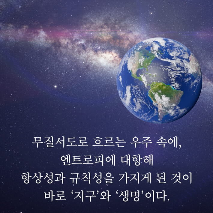 카드뉴스4