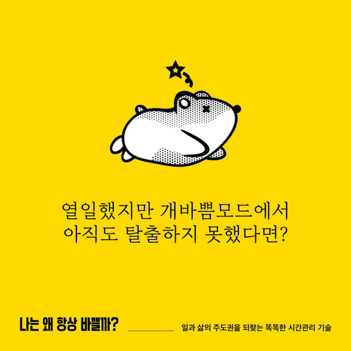 카드뉴스3
