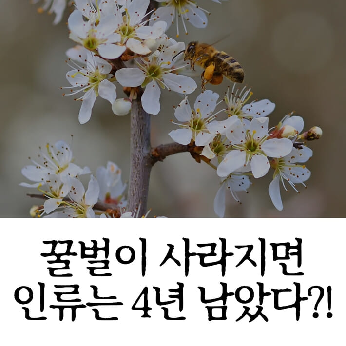 카드뉴스0
