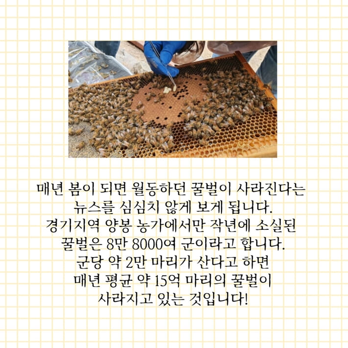 카드뉴스1