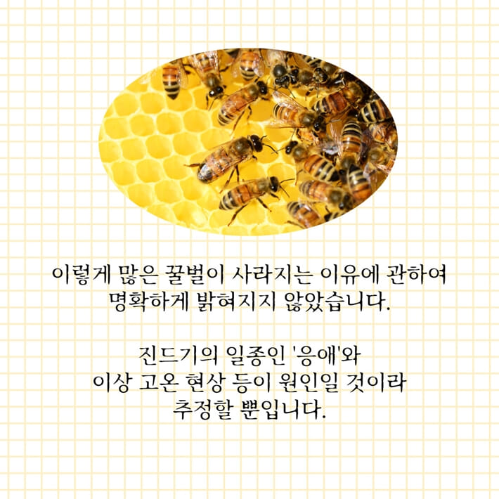 카드뉴스2