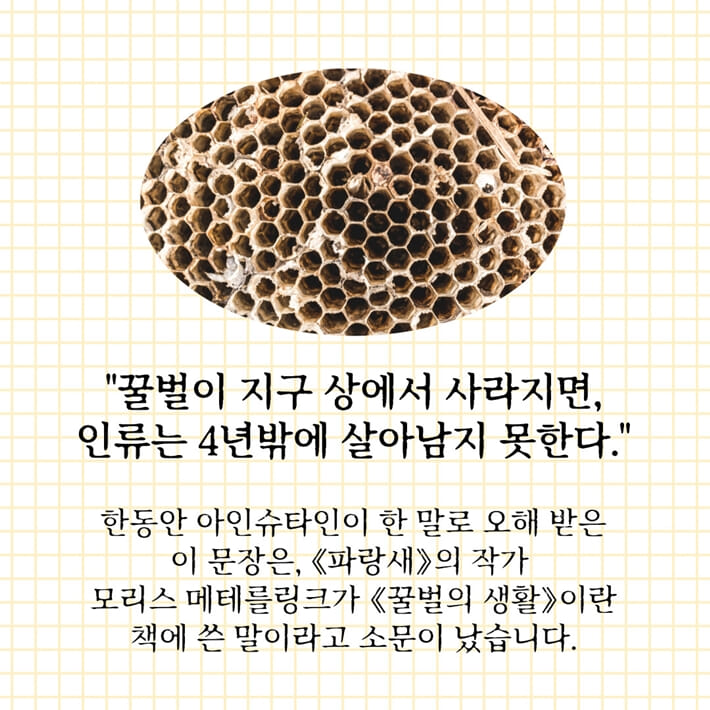 카드뉴스3
