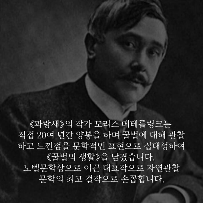 카드뉴스4