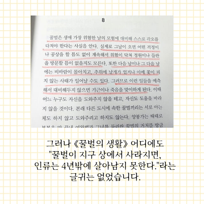 카드뉴스5