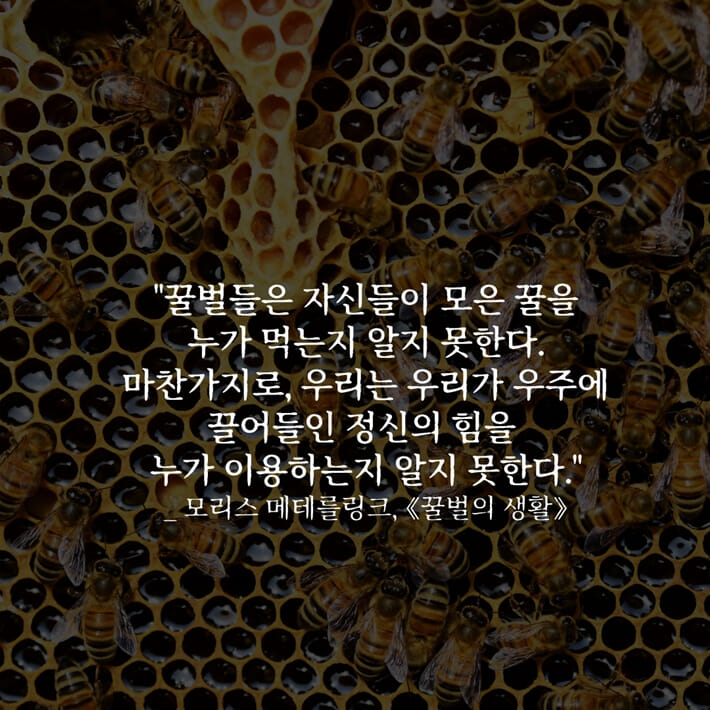 카드뉴스7