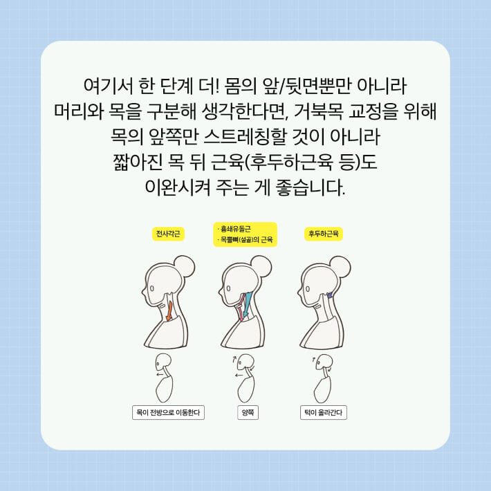 카드뉴스5