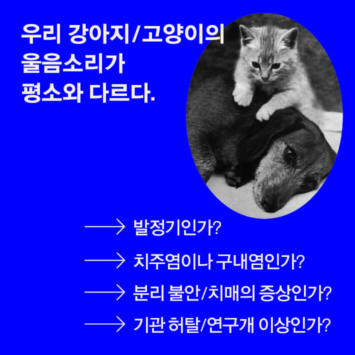 카드뉴스0