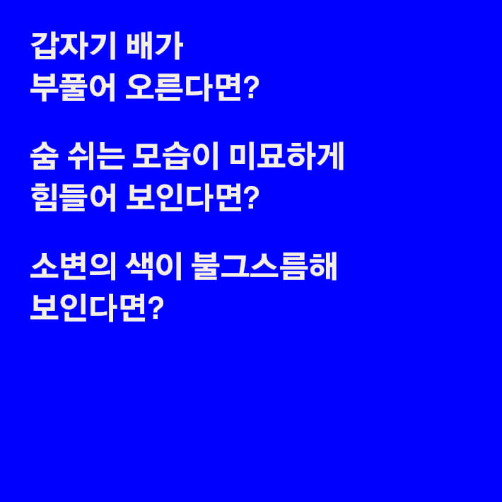 카드뉴스1