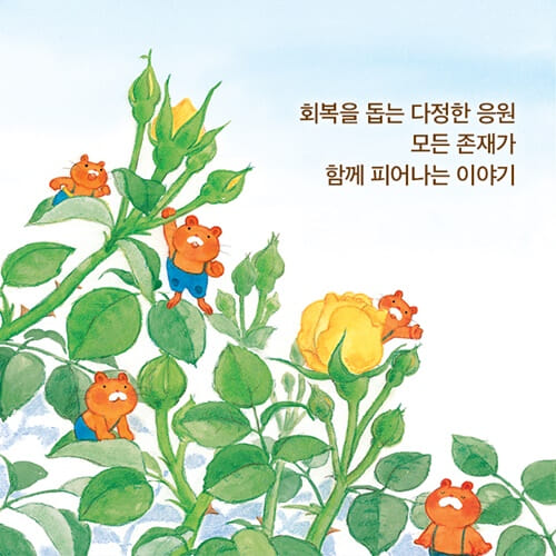 카드뉴스6